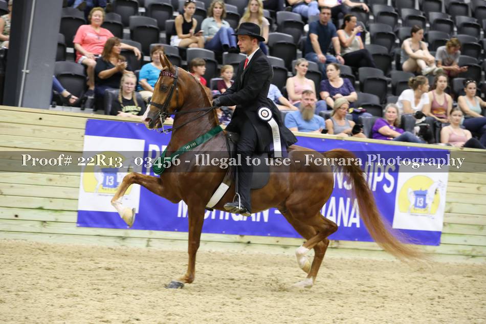 Proof 22R13_03456
