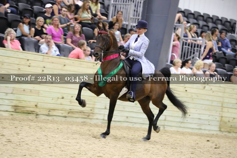 Proof 22R13_03458