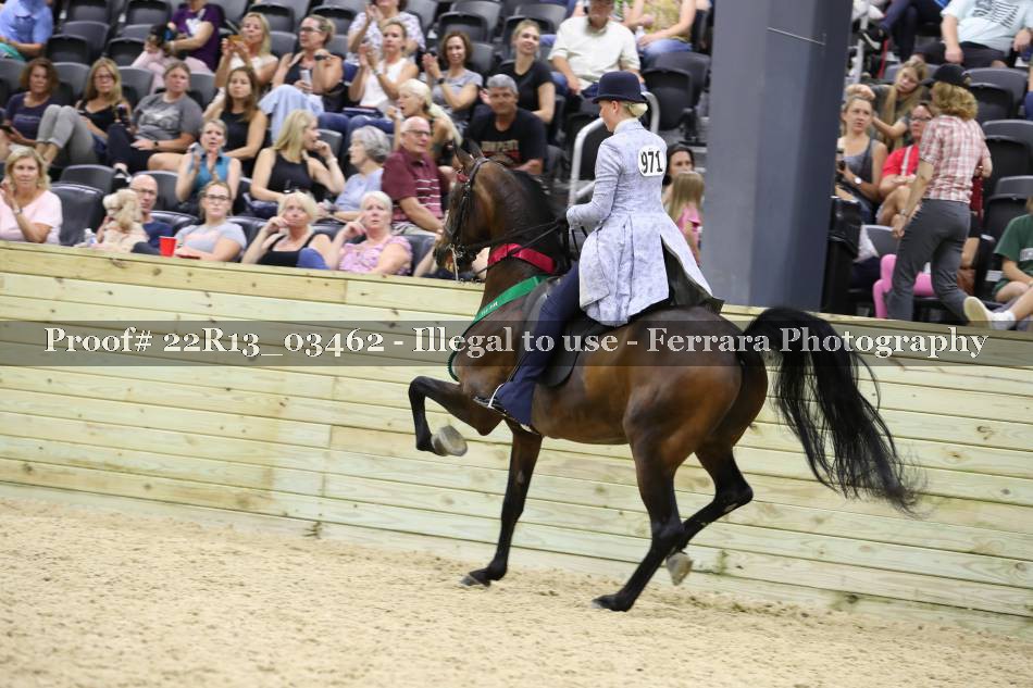 Proof 22R13_03462
