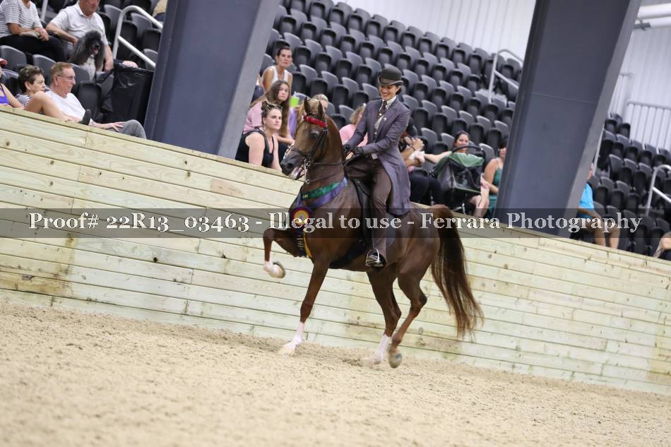 Proof 22R13_03463