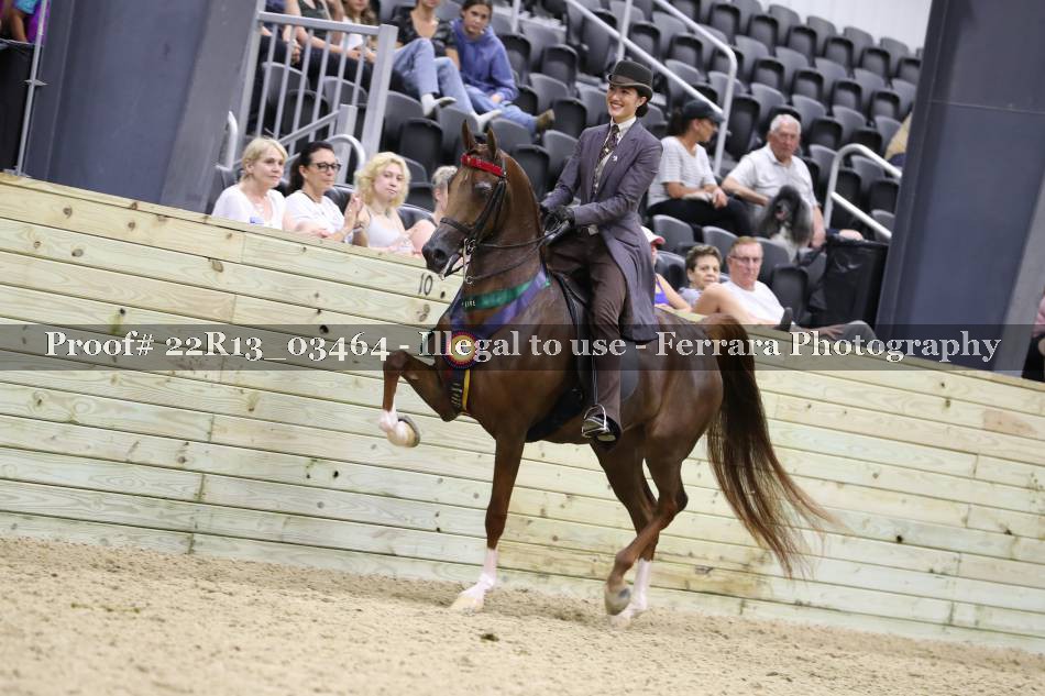 Proof 22R13_03464