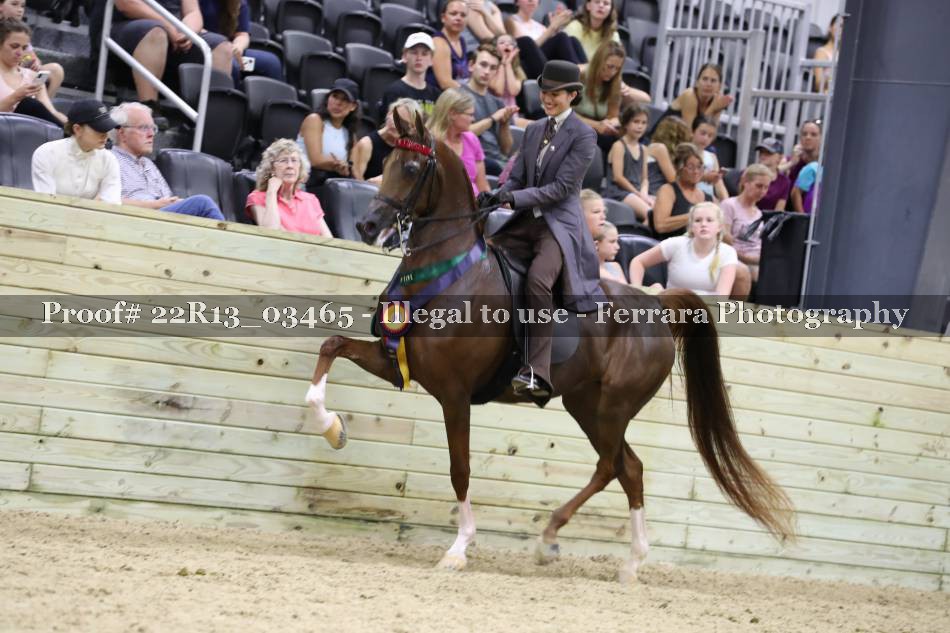 Proof 22R13_03465