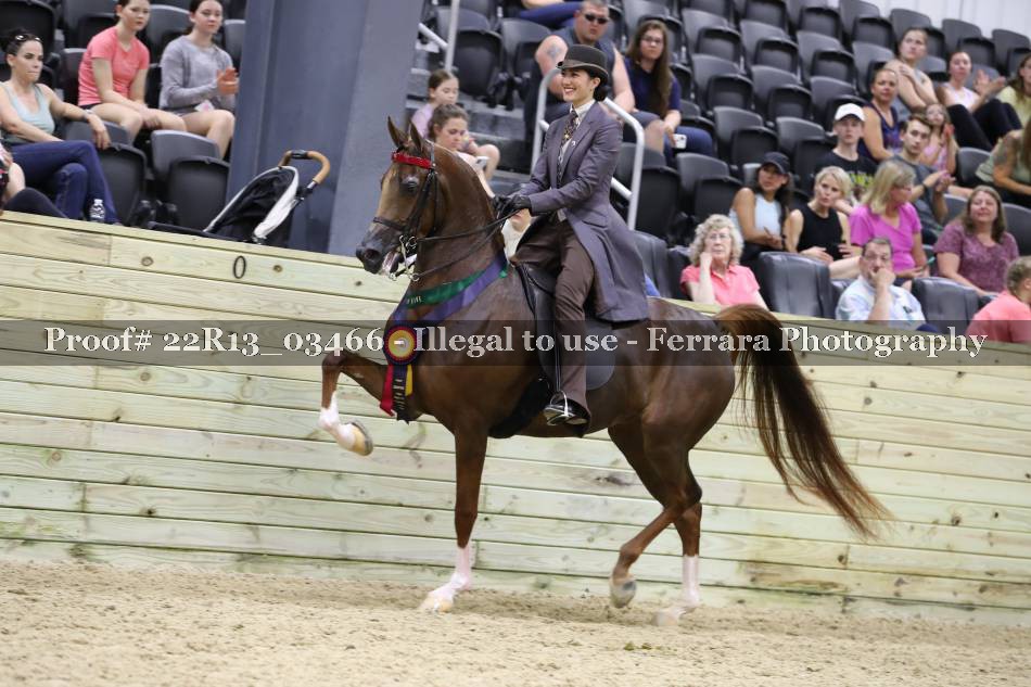 Proof 22R13_03466