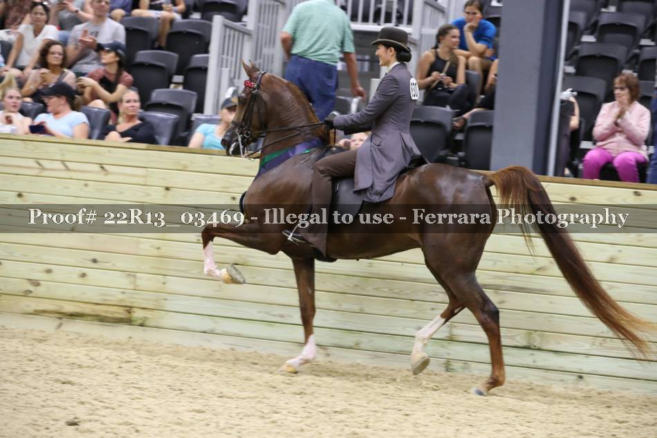 Proof 22R13_03469