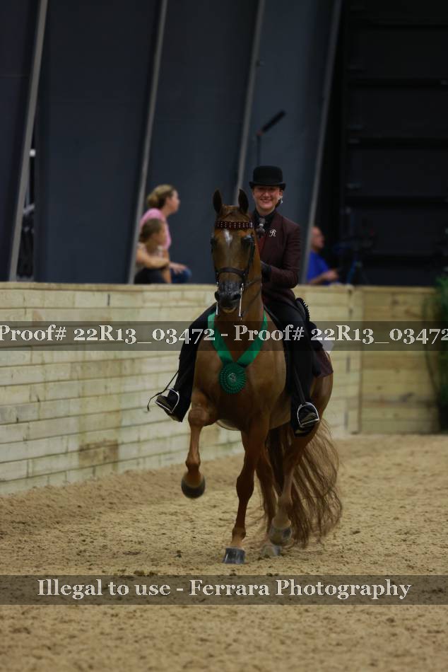 Proof 22R13_03472