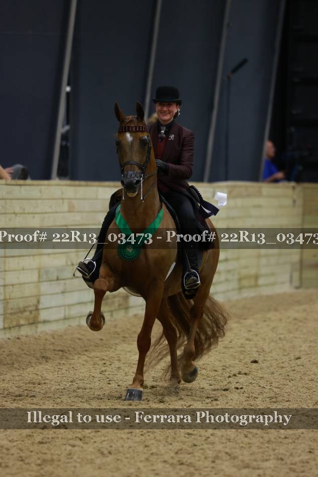 Proof 22R13_03473