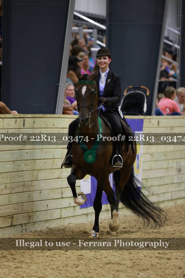 Proof 22R13_03474