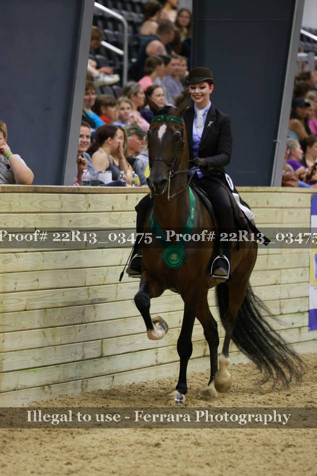 Proof 22R13_03475