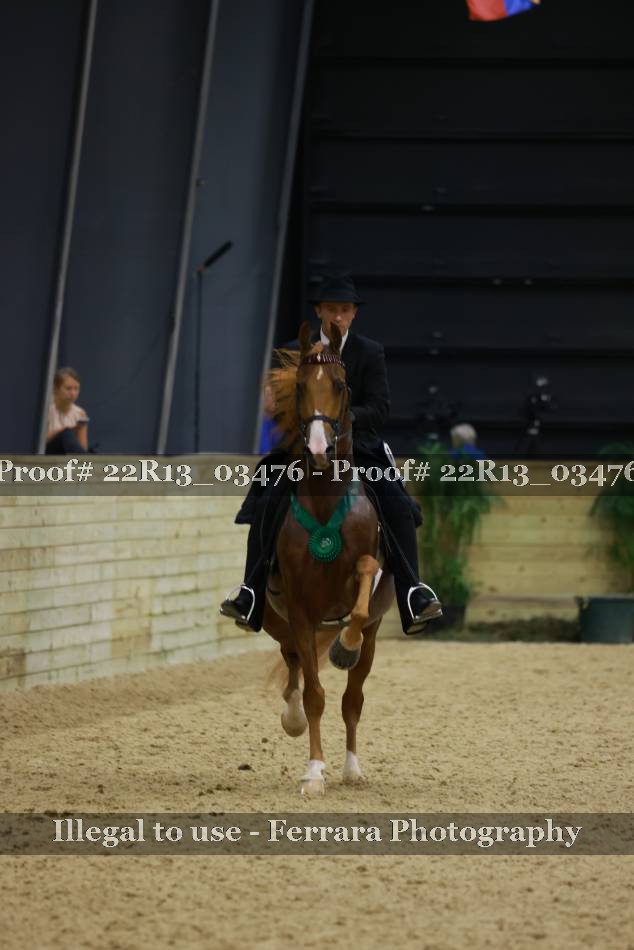 Proof 22R13_03476