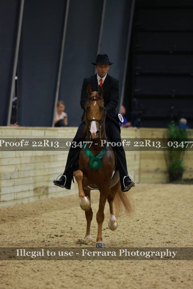 Proof 22R13_03477