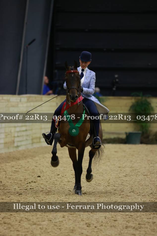 Proof 22R13_03478