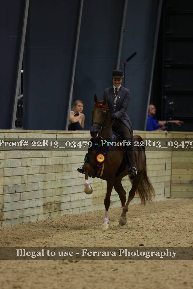 Proof 22R13_03479