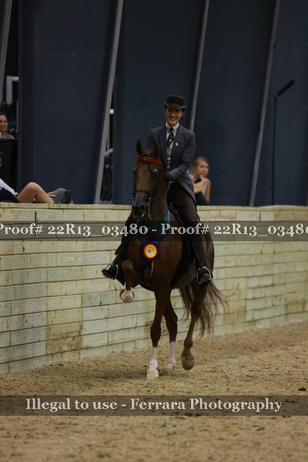 Proof 22R13_03480