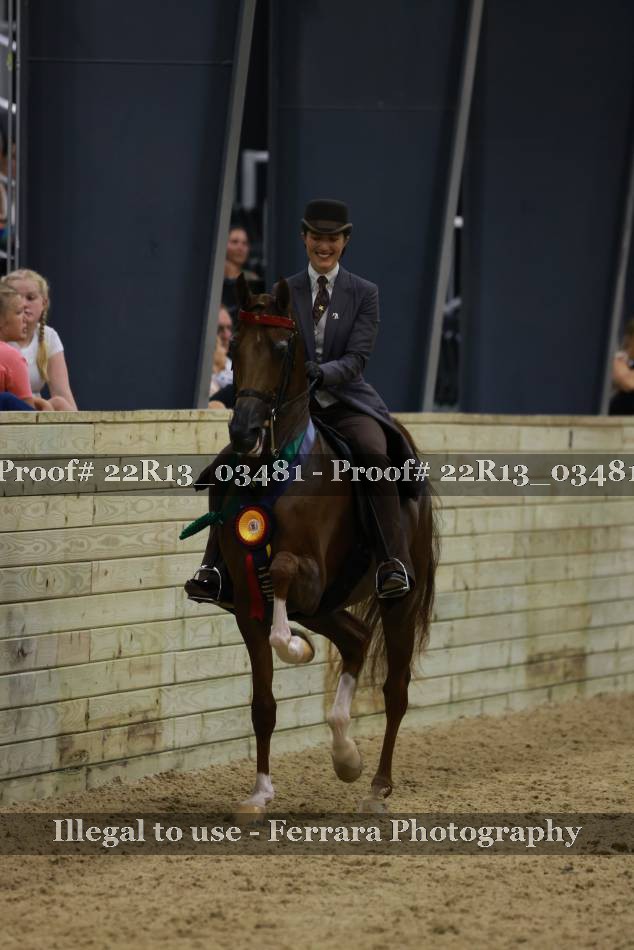 Proof 22R13_03481