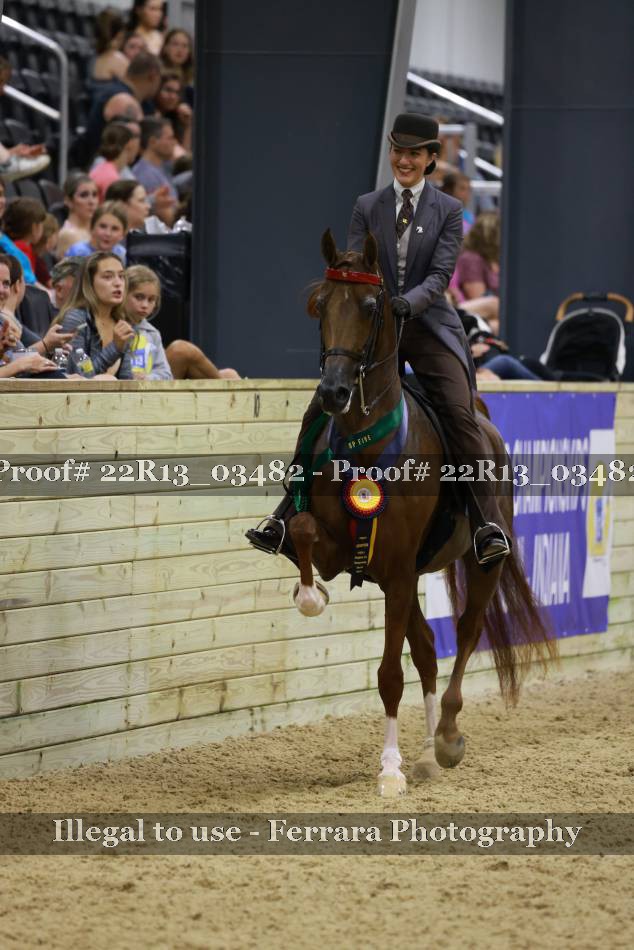 Proof 22R13_03482