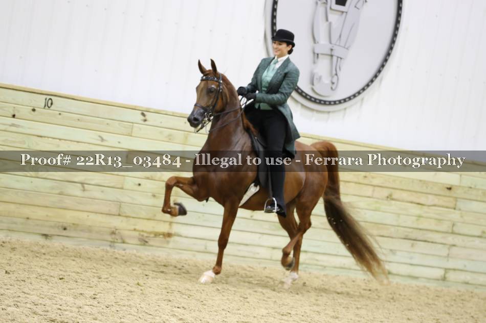 Proof 22R13_03484