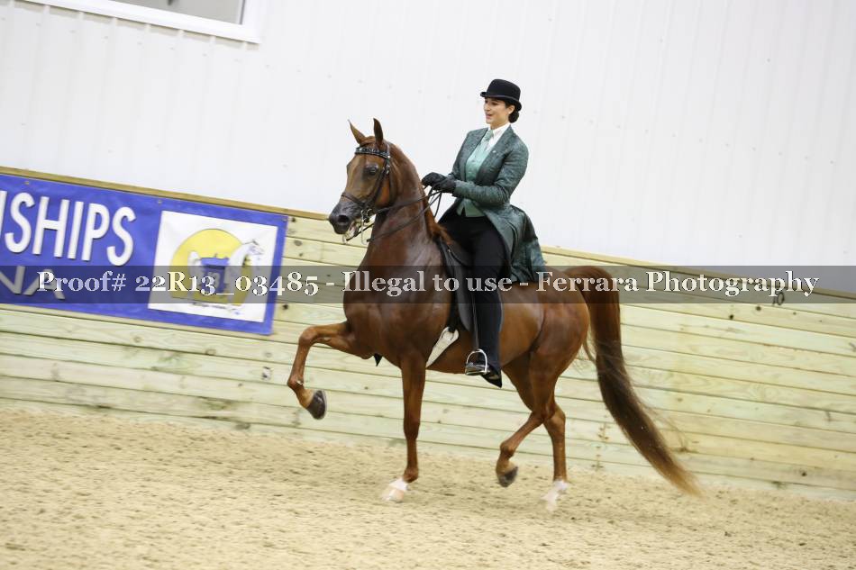 Proof 22R13_03485