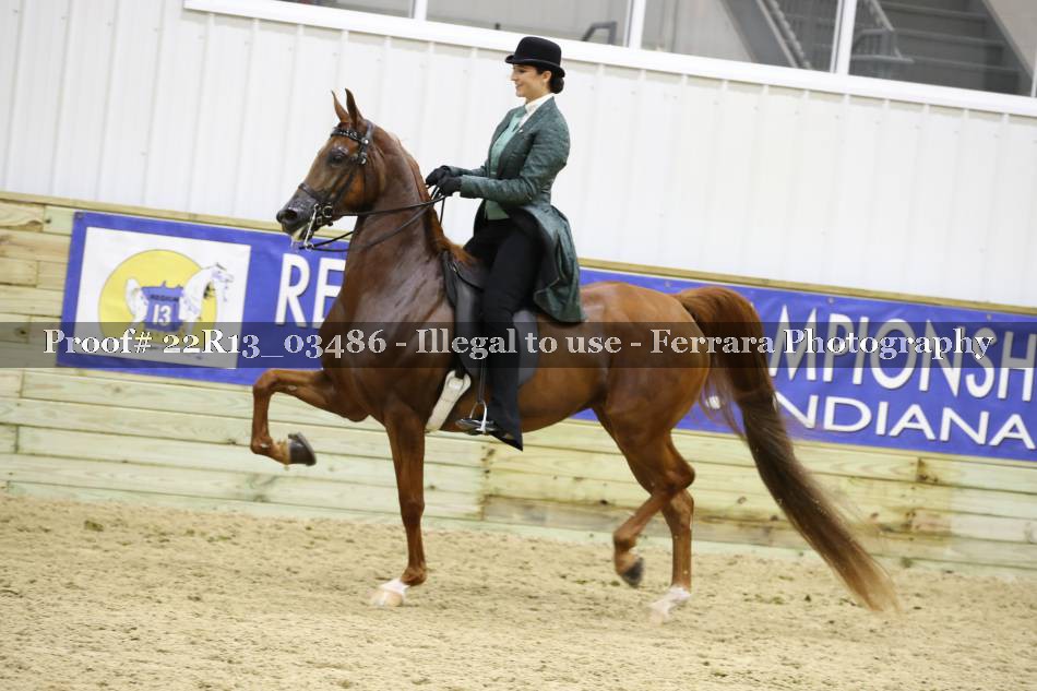 Proof 22R13_03486