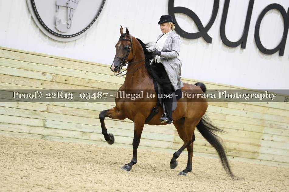 Proof 22R13_03487