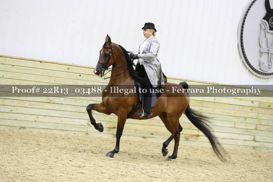 Proof 22R13_03488