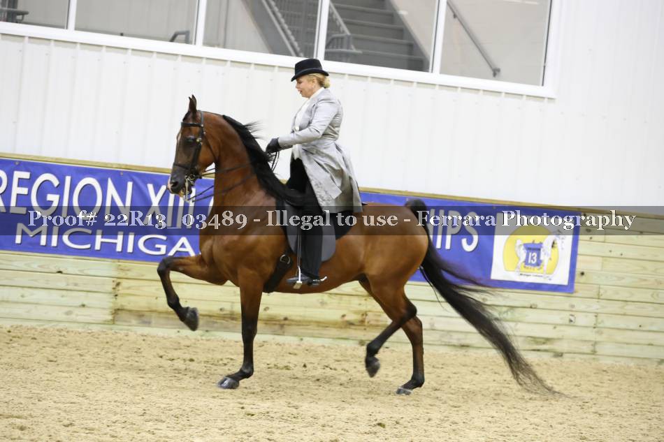 Proof 22R13_03489