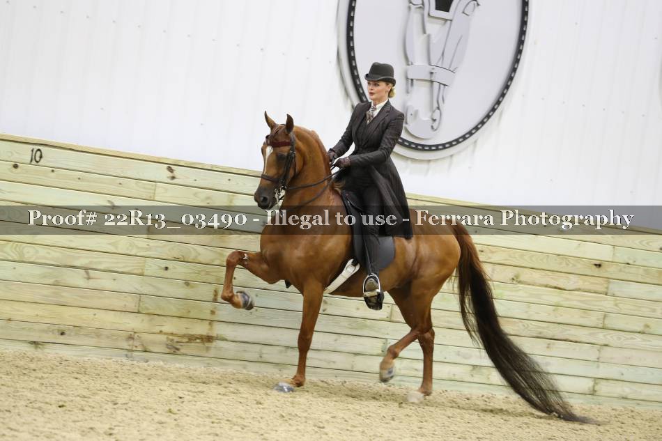 Proof 22R13_03490