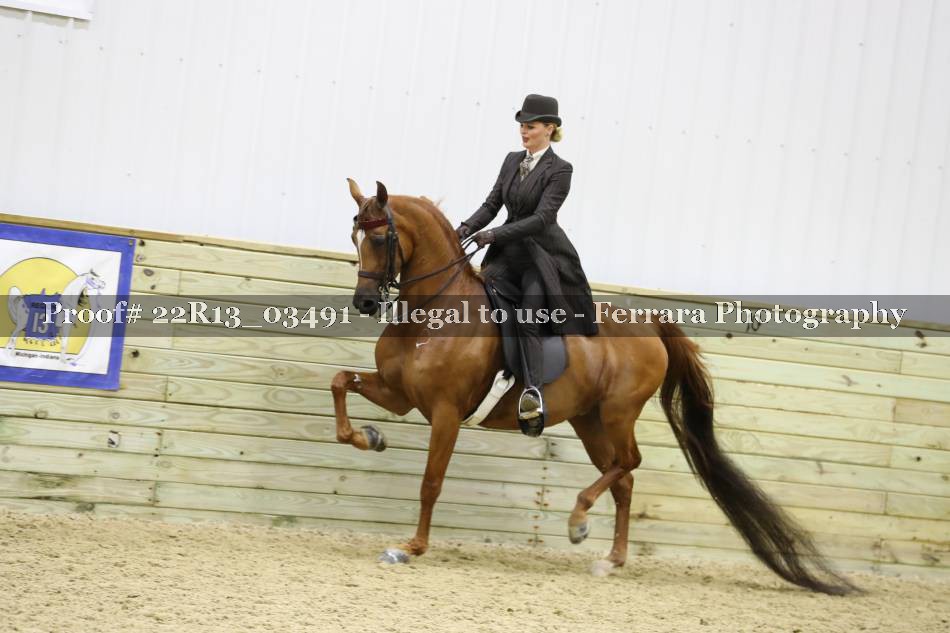 Proof 22R13_03491