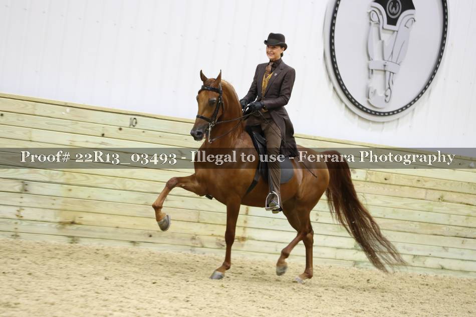 Proof 22R13_03493