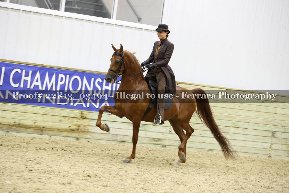 Proof 22R13_03494