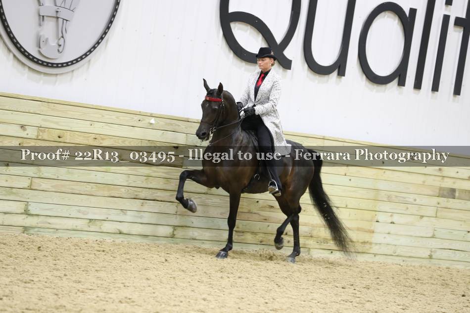 Proof 22R13_03495