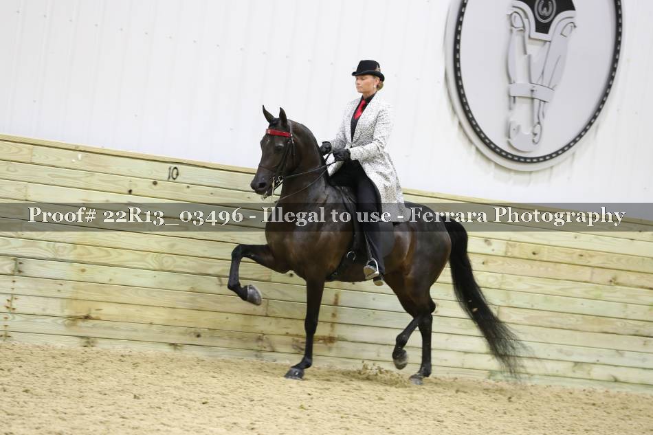 Proof 22R13_03496