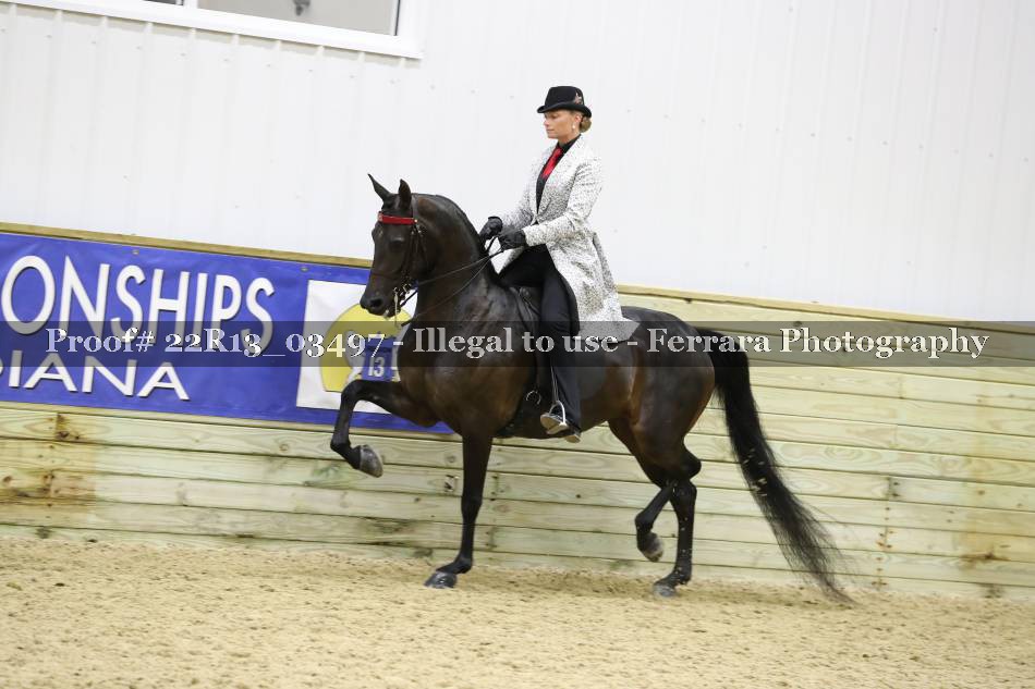 Proof 22R13_03497
