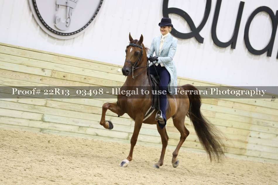 Proof 22R13_03498