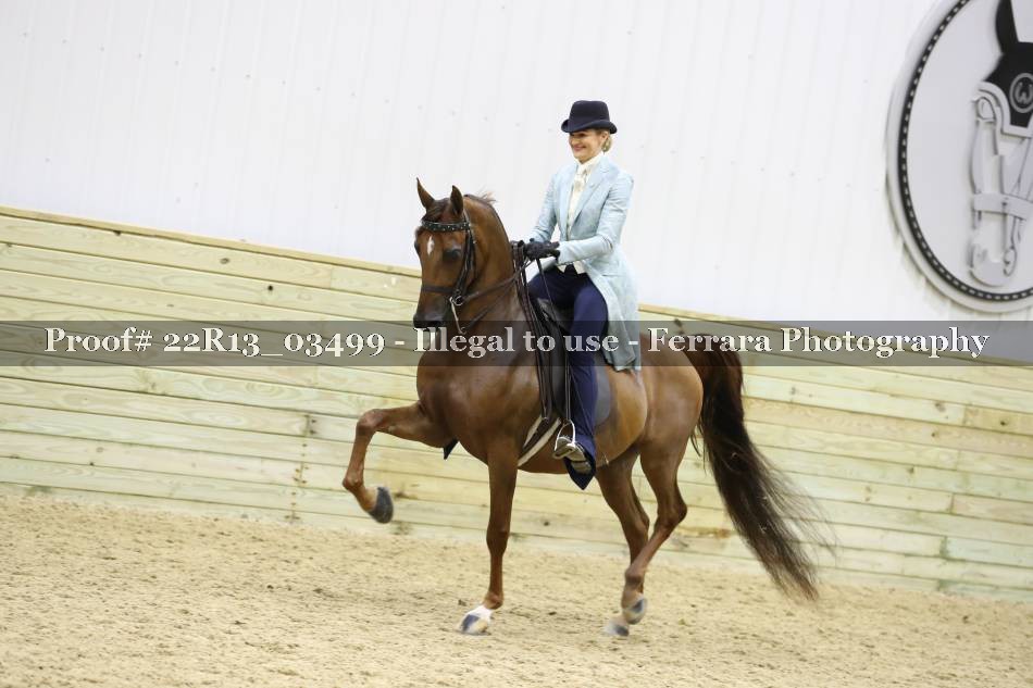 Proof 22R13_03499