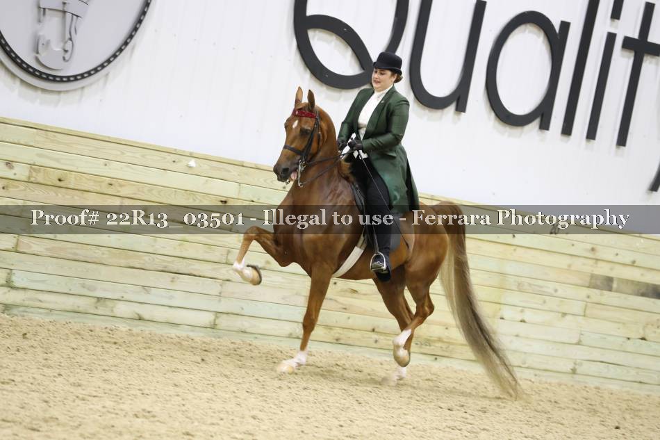 Proof 22R13_03501