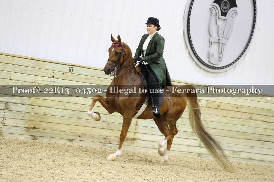 Proof 22R13_03502