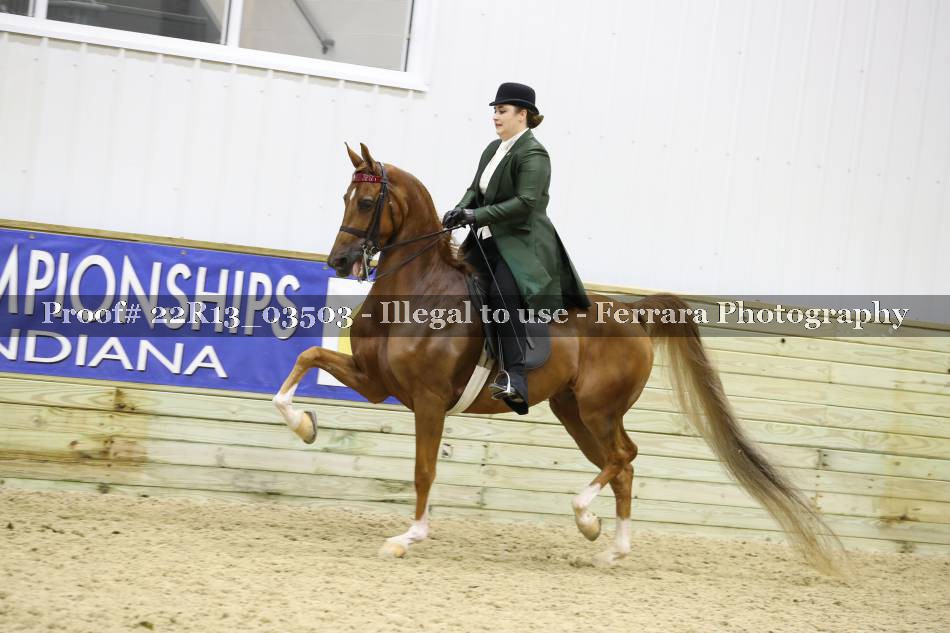 Proof 22R13_03503