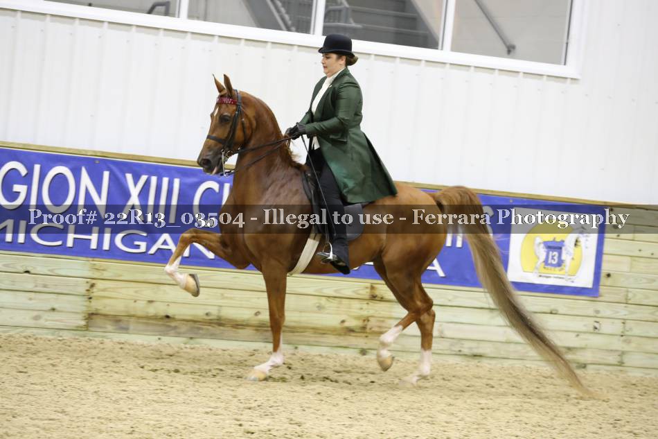 Proof 22R13_03504