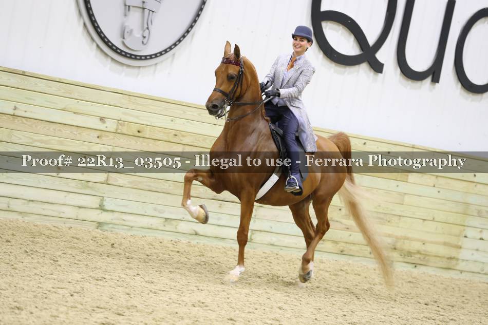 Proof 22R13_03505