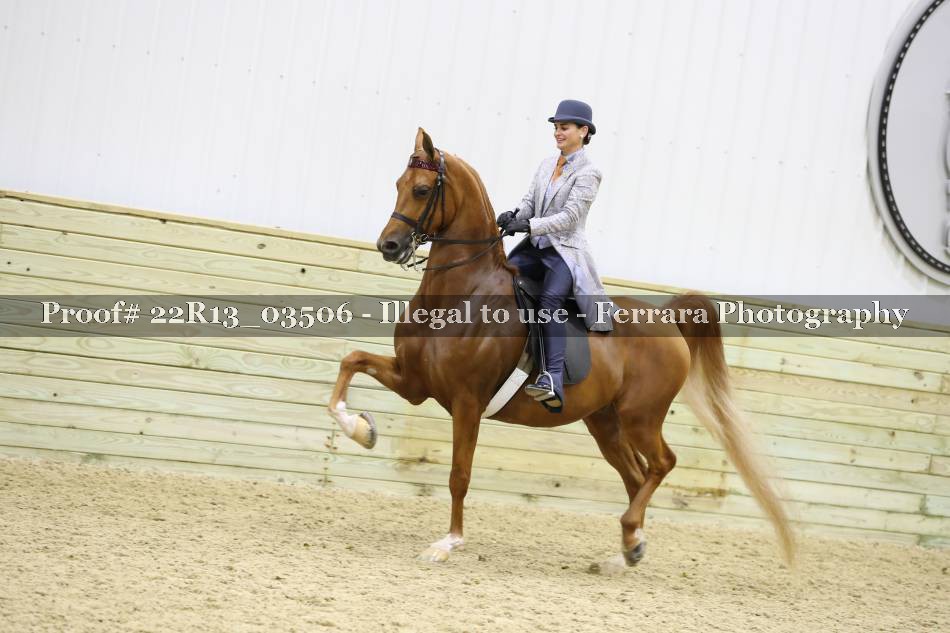 Proof 22R13_03506