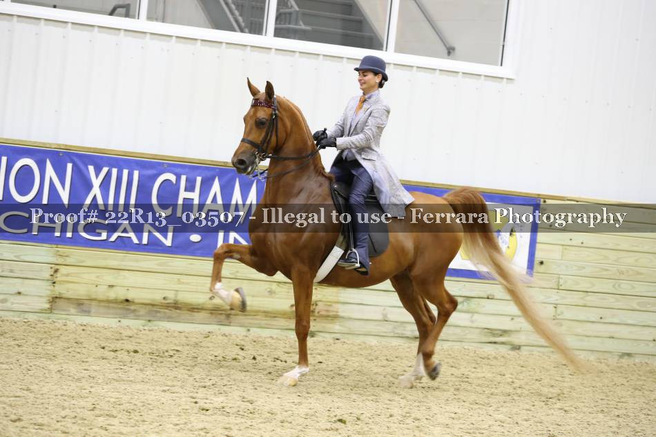 Proof 22R13_03507