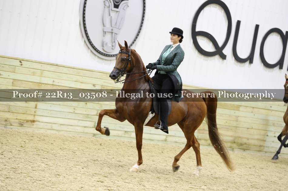 Proof 22R13_03508