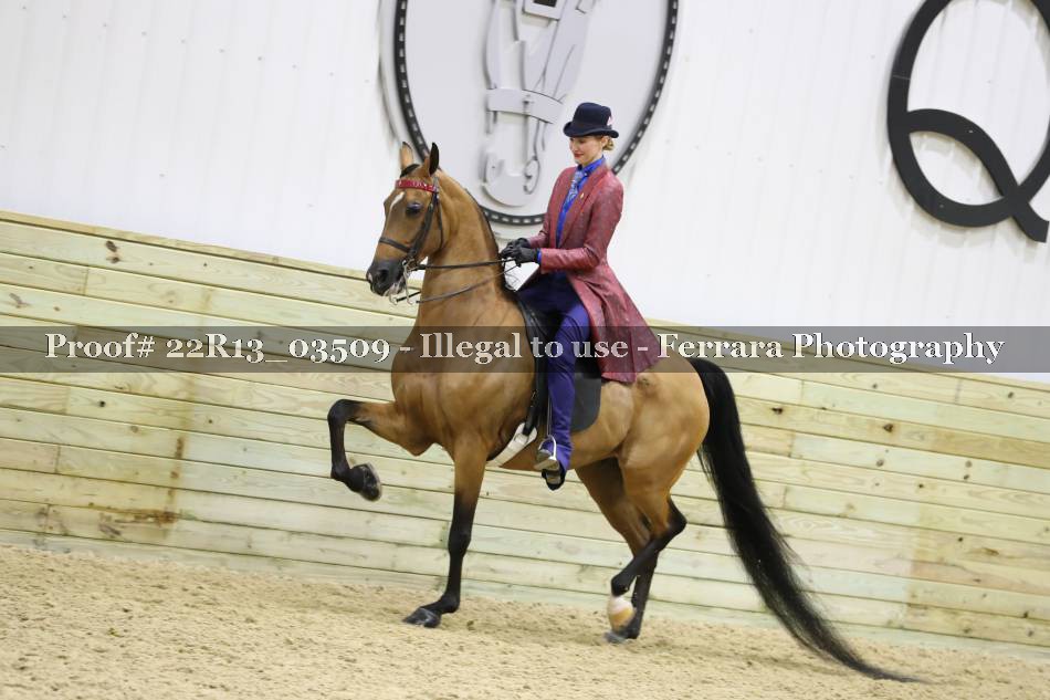 Proof 22R13_03509