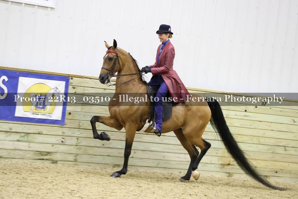 Proof 22R13_03510