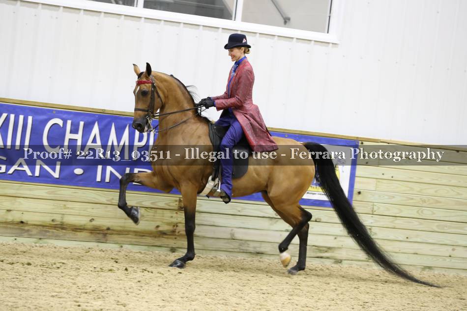 Proof 22R13_03511