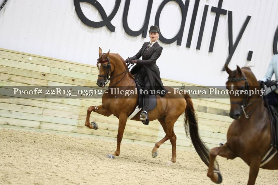 Proof 22R13_03512