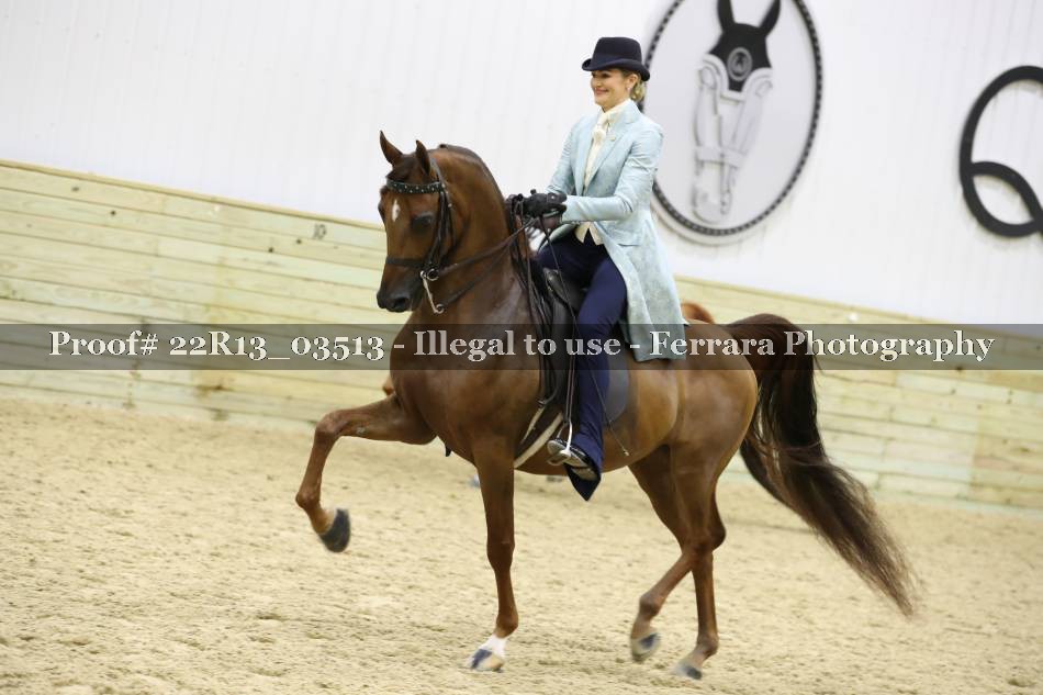 Proof 22R13_03513