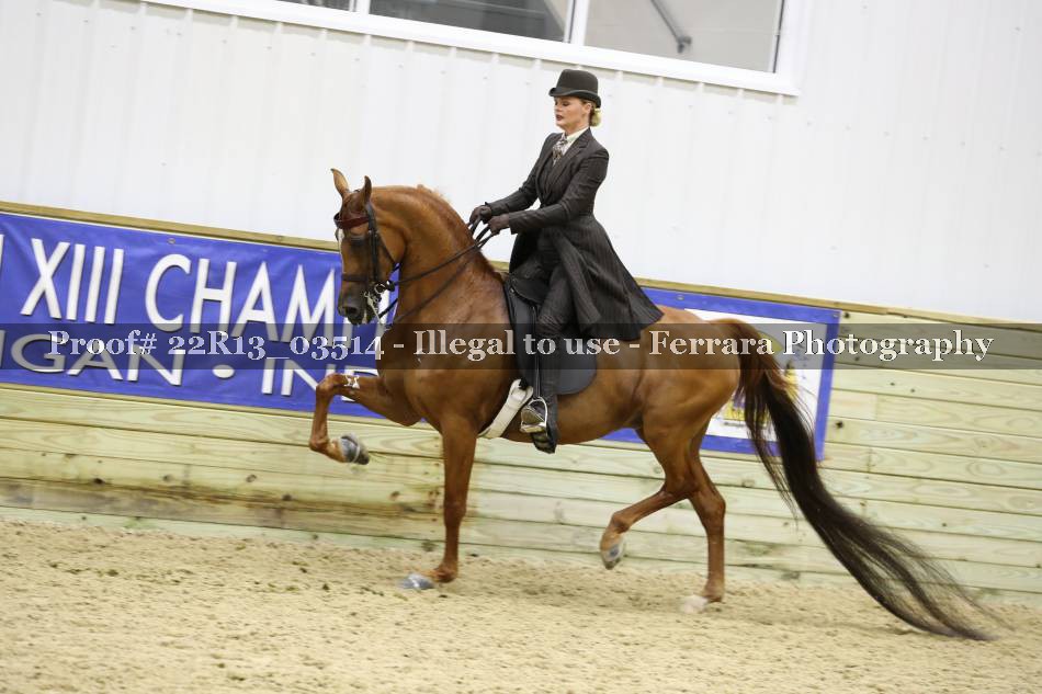 Proof 22R13_03514