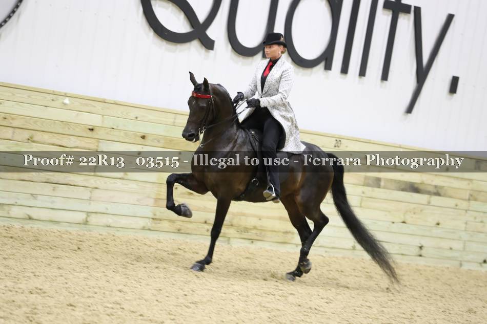 Proof 22R13_03515