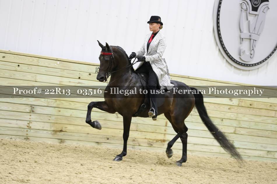 Proof 22R13_03516